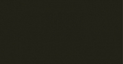 EQUITONE [pictura]